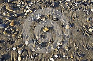 Multicolored pebbles on the sand in the surf