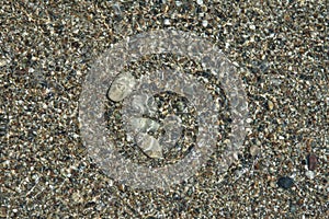 Multicolored pebbles under the water of the Mediterranean Sea. Pebble background.