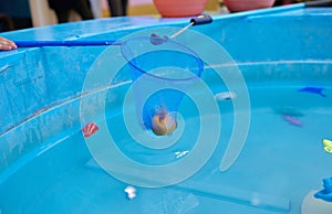 Multicolored plastic toy fish in pool for children's fishing, concept game.