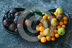 Multicolored plums on a plate are laid out by color.