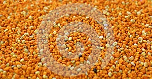 Multicolored pollen grains for use in background texture with warm and tonic color shades