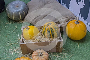 Multicolored pumpkins in a wooden box with straw