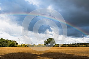 A multicolored rainbow over a field of wind turbines and a cloudy sky on a late afternoon.