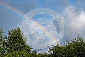 Multicolored rainbow over green trees against a blue sky with clouds