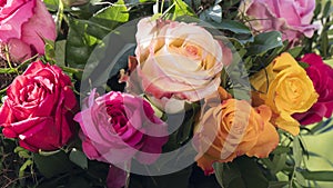Multicolored roses photo