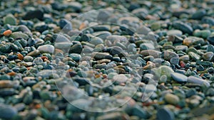Multicolored Sea Pebbles In The Oncoming Waves. Pebble Stones On Sea Shore.