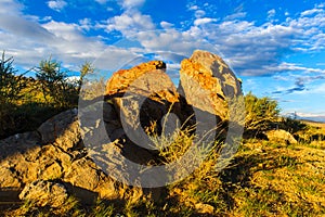 Multicolored soil of mercury occurrence in Altai steppe