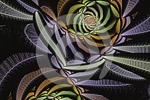 Multicolored swirling pattern of crooked ribbons on a black background.