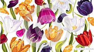 Floral spring background with vector multicolored tulips.