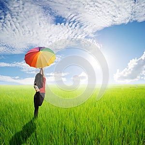 Multicolored umbrella woman jumping in green rice field and sun sky