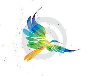 Multicolored vector stylized bird art in flight on a white background