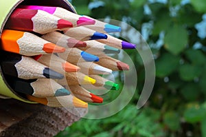 Multicolored wooden pencils in a box