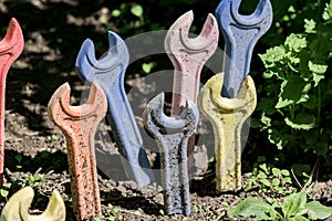 Multicolored wrenches grow from the soil in thw garden. New life consept