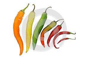 Multicolour chilly peppers