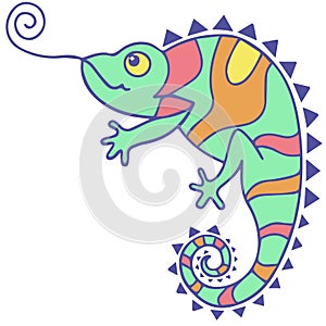 Multicoloured chameleon drawing illustration  vector