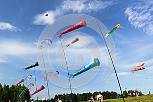 Multicoloured kites fly in the blue windy sky