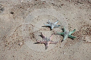 Multicoloured starfishes on the sand. Holiday concept.