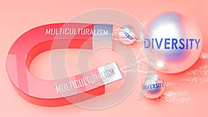 Multiculturalism that attracts Diversity