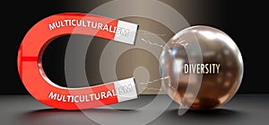 Multiculturalism that attracts Diversity. Power of multiculturalism