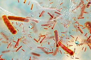 Multidrug resistant bacteria inside a biofilm photo