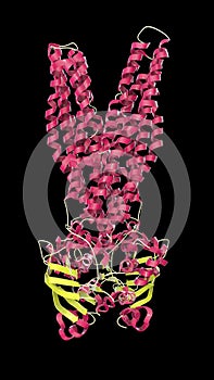 Multidrug transporter molecule, 3D illustration