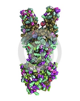 Multidrug transporter molecule, 3D illustration