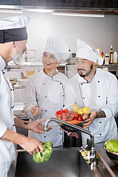 Multiethnic chefs with vegetables talking to