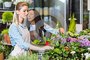 Multiethnic florists in aprons working with flowers in flower shop
