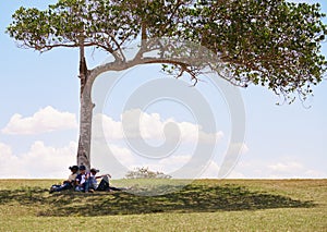 Multiethnic Group Of Teenagers Playing Virtual Reality In Park