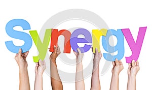 Multiethnic Hands Holding Text Synergy