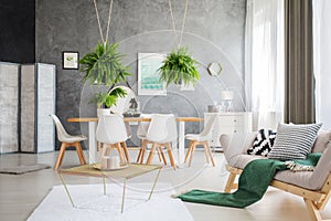 Multifunctional apartment with ferns