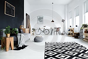 Multifunctional, black and white room