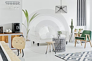 Multifunctional flat in nordic style