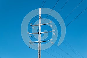 Multifunctional pole for electricity distribution and wireless telecommunications