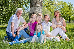 Multigeneration family in park