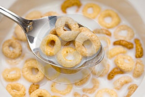 Multigrain cereal photo
