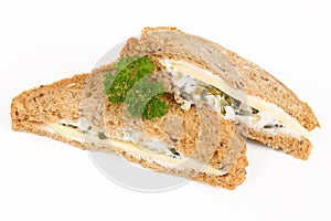 Multigrain sandwich with cheese