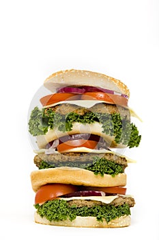 Multilayered cheeseburger