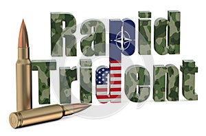 Multinational troops exercise Rapid Trident US NATO