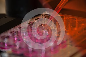 Multipette and multiwell tray experiment in the microbiology laboratory