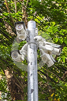 Multiple Angle Outdoor CCTV Camera on the Pole near the Tree