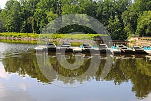 Multiple boats on the lake surrounded by water and green trees