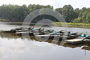 Multiple boats parked on the lake dock