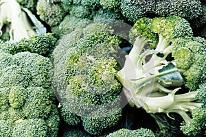 Multiple broccoli close-up