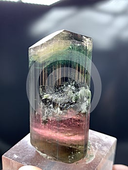 Multiple color green and red pink  tourmaline with albite specimen from skardu astaknala skardu Pakistan