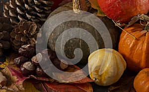 Multiple colourful pumpkins, leaves and conkers