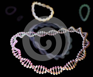 Multiple DNA plasmids inside of bacteria 3d rendering photo