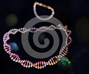 Multiple DNA plasmids inside of bacteria 3d rendering photo