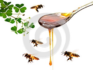 Multiple Drops of Honey String from Drizzler.