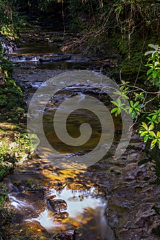 Multiple exposure of the stream of a river III